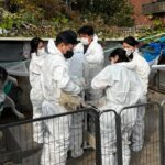 노원구, 민관 협력으로 전국 최대 규모 애니멀 호딩 사례 마무리