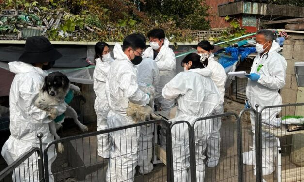 노원구, 민관 협력으로 전국 최대 규모 애니멀 호딩 사례 마무리