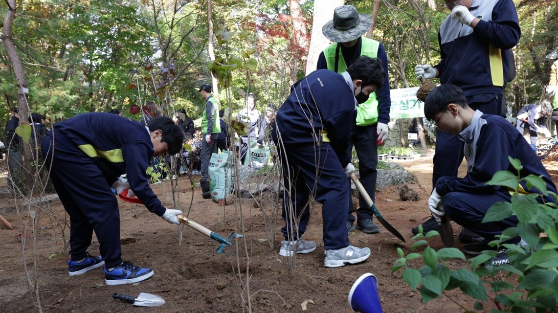 노원구, 100만 그루 나무심기 실행을 위해 ‘생활 숲’ 조성 추진