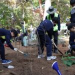 노원구, 100만 그루 나무심기 실행을 위해 ‘생활 숲’ 조성 추진