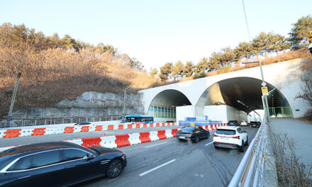 화성특례시 시민 안전 지킨 단호한 조치 동탄숲 생태터널 위기 속 복구 모범사례