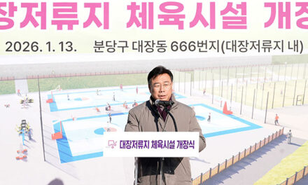 성남시, 판교 대장저류지에 풋살장, 농구장 조성