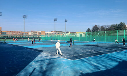 고양특례시, 2026년 생활체육대회 개막