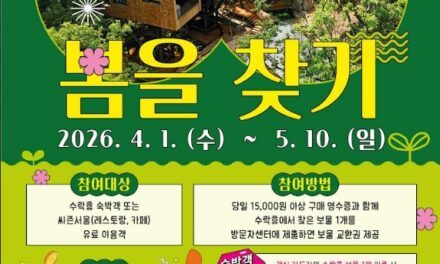 서울 노원구, 새봄맞이  이벤트