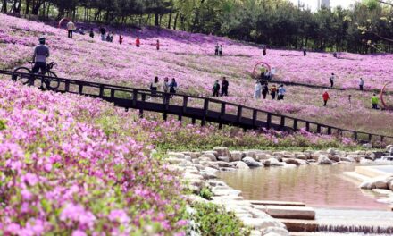 서울 노원구, ‘역대급’ 2026 불암산 철쭉제 개최