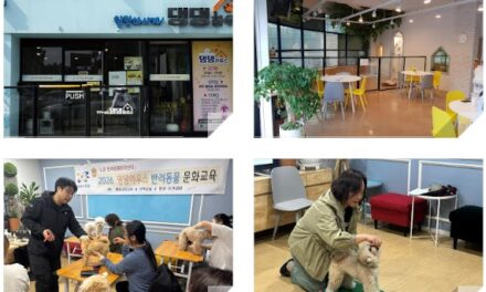 서울 노원구, 「힐링하시개! 댕댕하우스」반려견 교육프로그램 운영