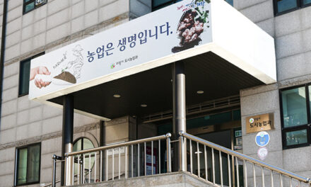 의왕시, 2026년 돌봄 취약가구 반려동물 의료서비스 지원 사업 추가 신청 받아