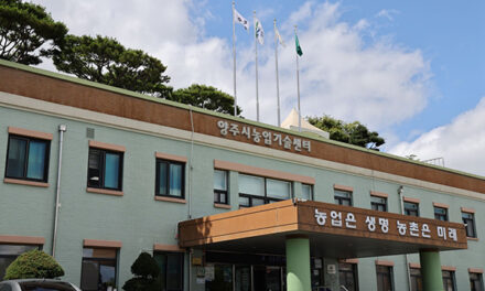 양주시, ‘오이의 날’ 맞아 농산물 특판전 개최