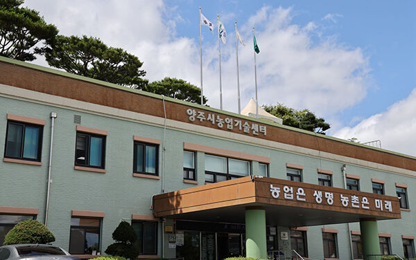 양주시, ‘오이의 날’ 맞아 농산물 특판전 개최