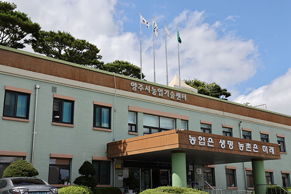 양주시, ‘오이의 날’ 맞아 농산물 특판전 개최