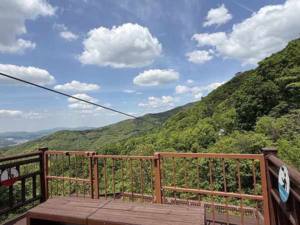 용인특례시, 용인자연휴양림 짚라인 재개장
