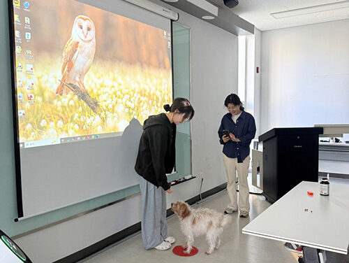 의왕시청소년재단, 학교밖청소년지원센터 2026년 반려동물행동교정사 자격증 취득과정 운영