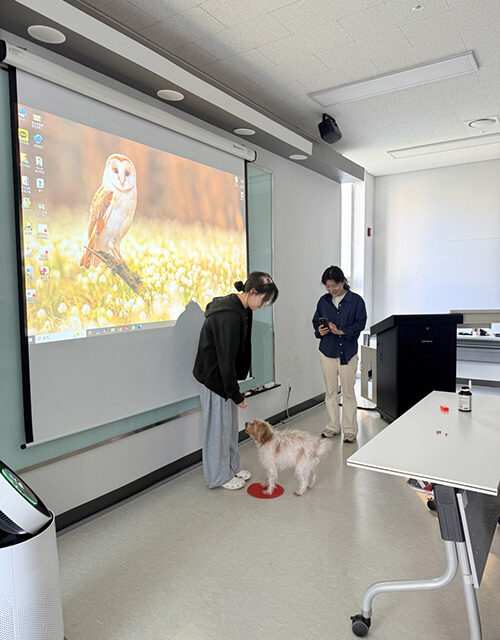 의왕시청소년재단, 학교밖청소년지원센터 2026년 반려동물행동교정사 자격증 취득과정 운영