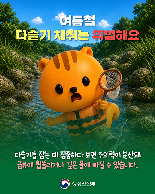 가평군, “여름철 다슬기 채취 안전사고 주의하세요”