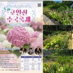 서울 노원구, 초안산 수국축제 로 사계절 꽃도시 매력 뽐낸다