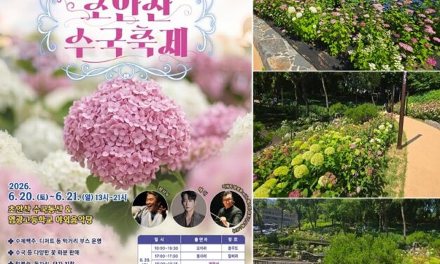 서울 노원구, 초안산 수국축제 로 사계절 꽃도시 매력 뽐낸다