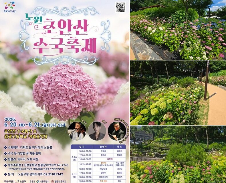 서울 노원구, 초안산 수국축제 로 사계절 꽃도시 매력 뽐낸다