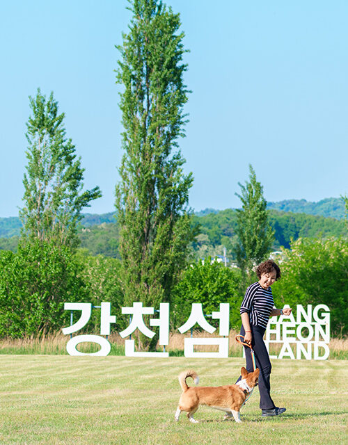 여주시, 강천섬 사람보다 반려견이 더 좋아하는 섬