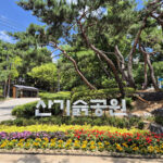 서울 금천구, 폭염·한파에도 안심 ‘기후변화 안심공원’ 조성 완료