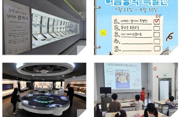 노원구, 자연‧과학‧예술 아우른 여름방학 체험 프로그램 운영