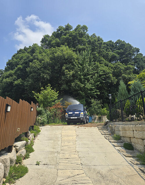 양주시, 민관 협력으로 모기없는 쾌적한 환경 조성 ‘함께 잡는 모기 프로젝트’ 추진
