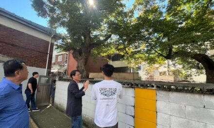 김우일 노원구의회 보건복지위원장, 중계4동 낙하 위험 수목 현장 긴급 점검