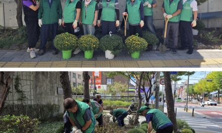 서울노원구새마을회, 도심 속 국화꽃밭 만들기